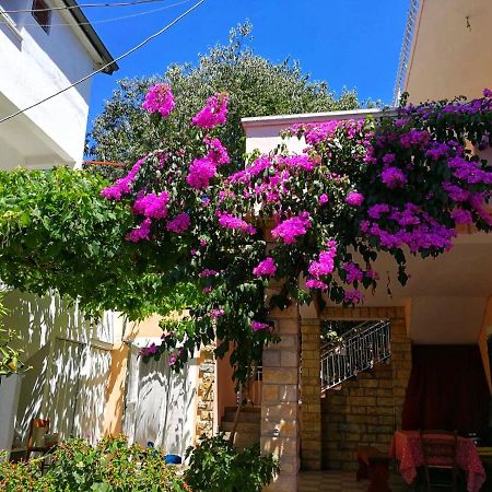 Apartmani Leon Biograd Na Moru Zewnętrze zdjęcie
